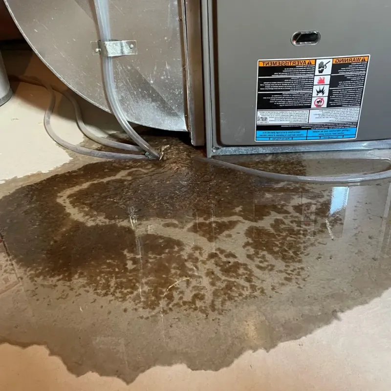 Pipe Burst and Leak Restoration in City of Danville, VA
