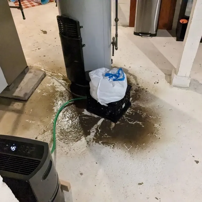 Sewage Backup Cleanup Service in City of Danville, VA